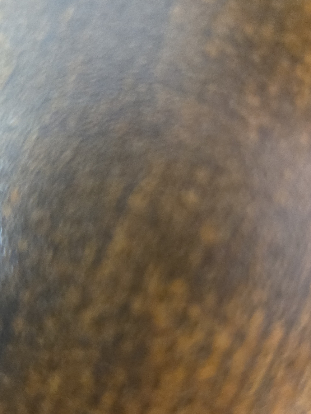 Cleared Up! - Picture 1 of 1